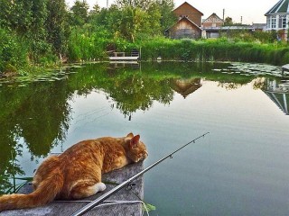 Пазл #10611