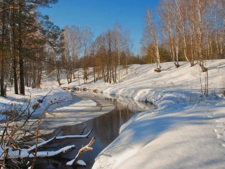 Пазл #38446