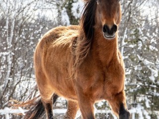 Пазл #59491