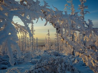 Пазл #20653